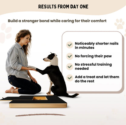 The ScratchPaw Board™