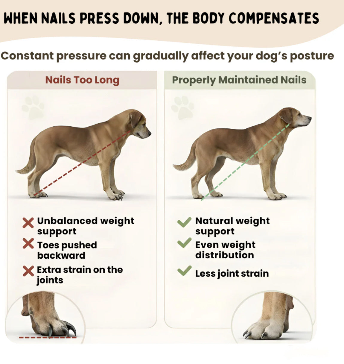 The ScratchPaw Board™