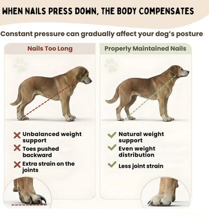 The ScratchPaw Board™